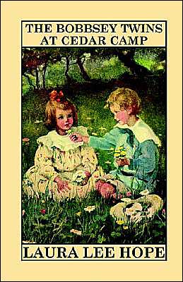 The Bobbsey Twins